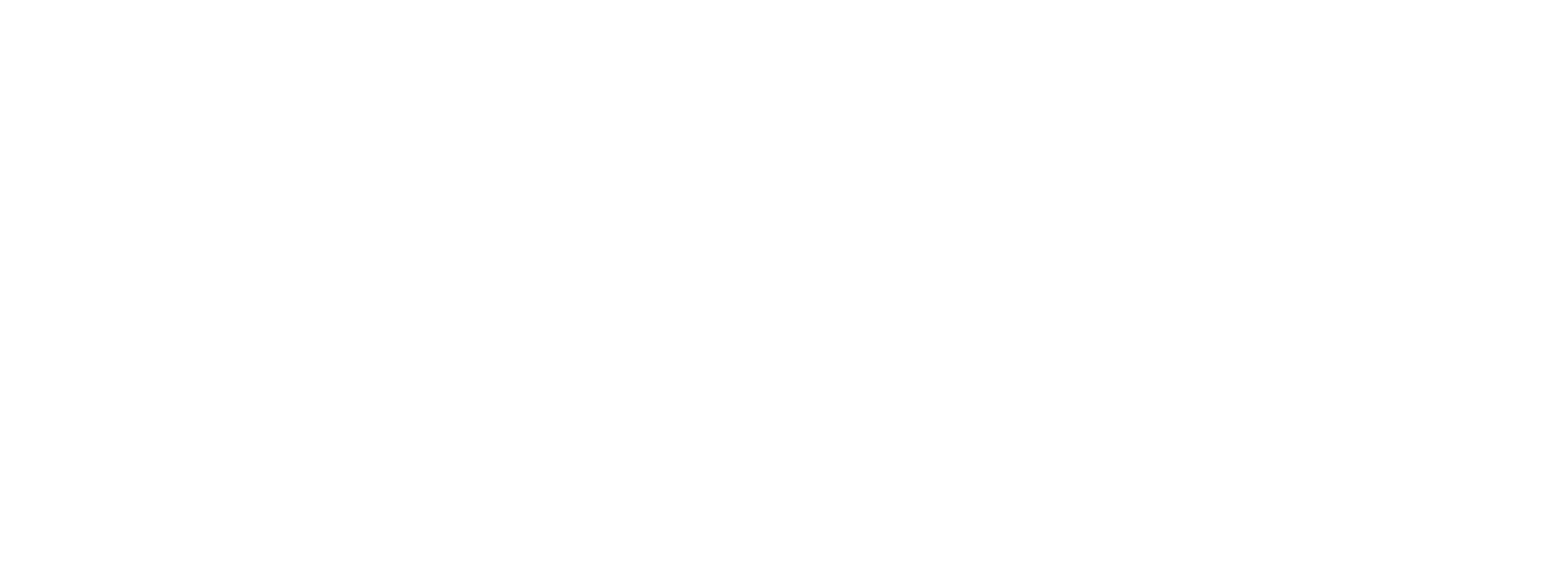 New-England-Surf-Logo-White