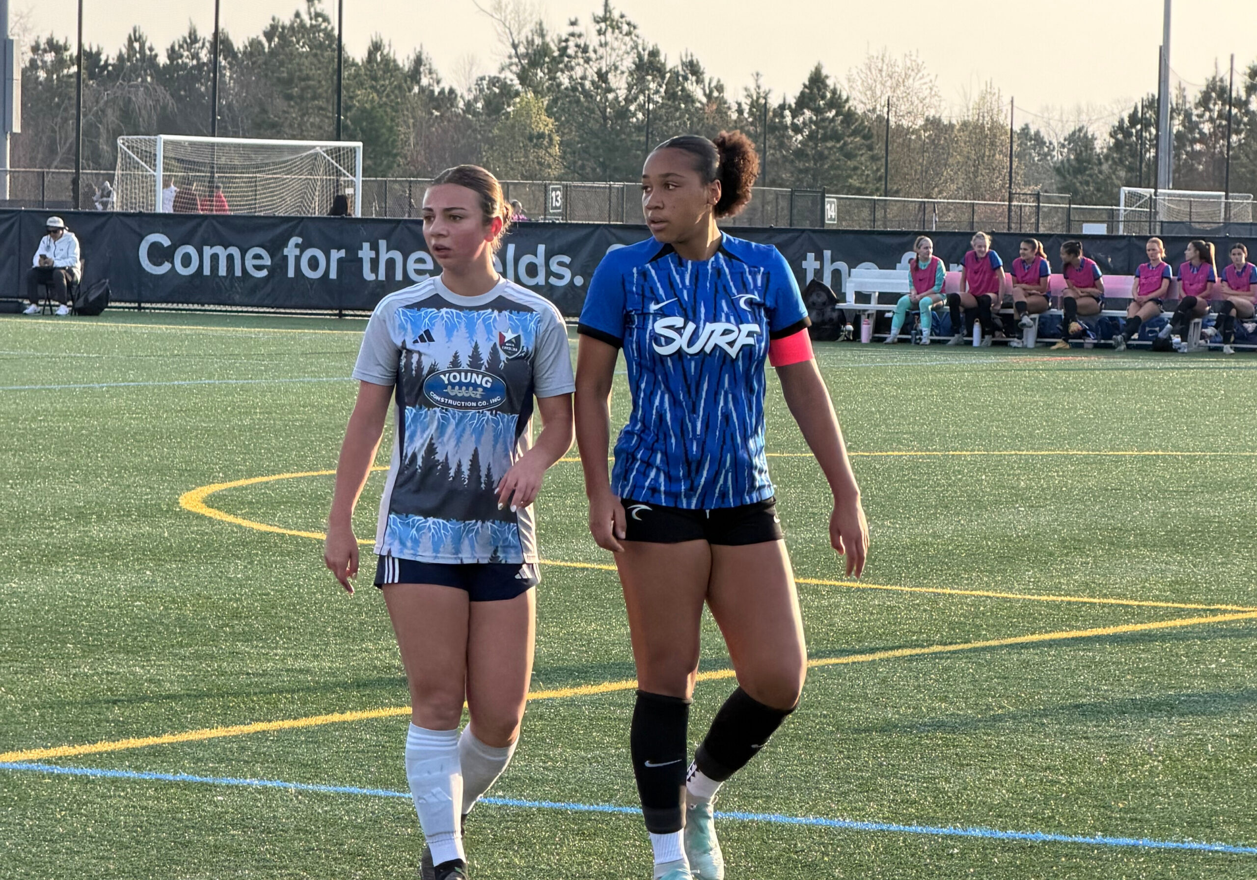 b8e836b1-53ce-4634-9379-eec893e3a6de